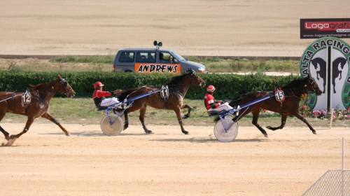 Race 7 confirmed result