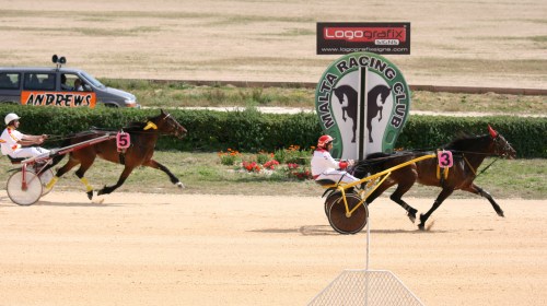 Race 5 confirmed result