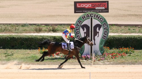 Race 5 confirmed result