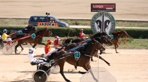 Race 6 confirmed result