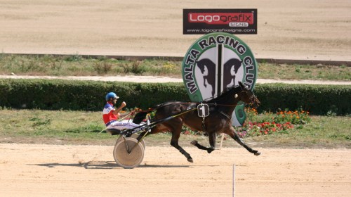 Race 7 confirmed result