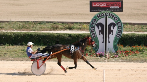 Race 9 confirmed result
