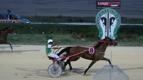 Race 5 confirmed result