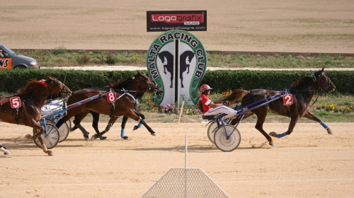 Race 8 confirmed result