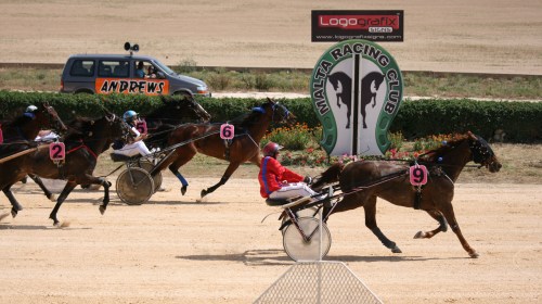 Race 5 confirmed result
