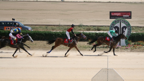 Race 6 confirmed result