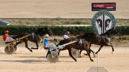 Race 9 confirmed result