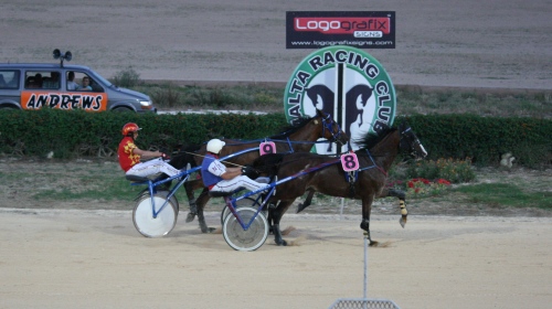 Race 5 confirmed result