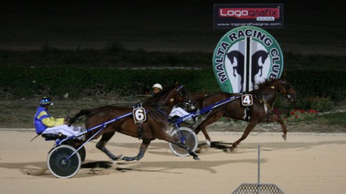 Race 7 confirmed result