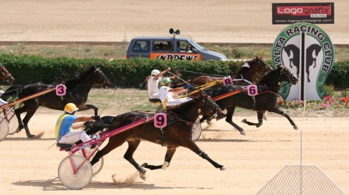 Race 5 confirmed result