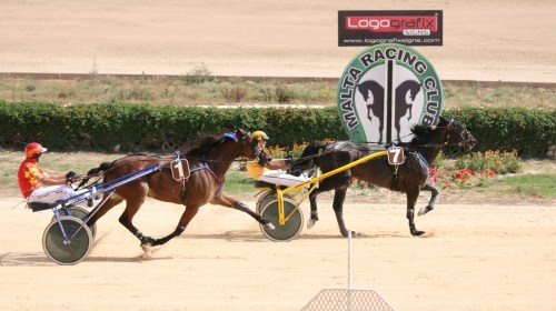 Race 7 confirmed result