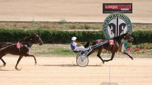 Race 8 confirmed result