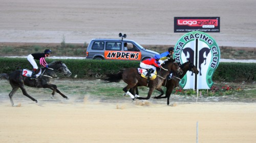 Race 5 confirmed result