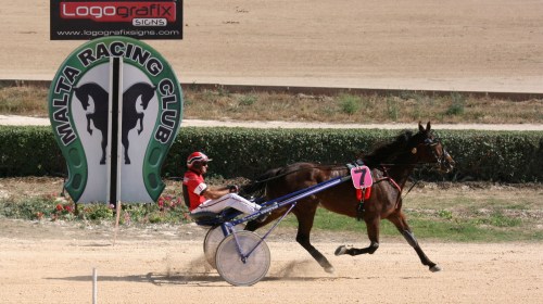 Race 5 confirmed result