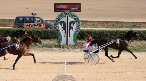 Race 7 confirmed result