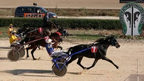Race 8 confirmed result
