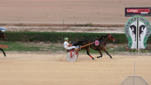 Race 5 confirmed result