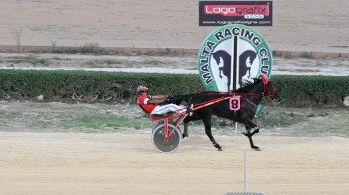 Race 5 confirmed result