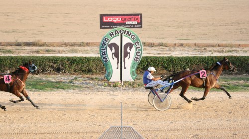 Race 5 confirmed result