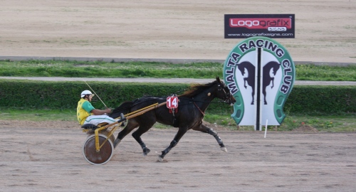 Race 8 confirmed result