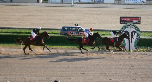 Race 5 confirmed result