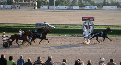 Race 6 confirmed result