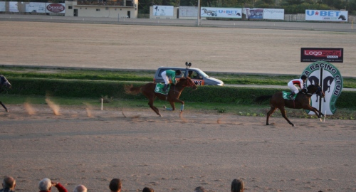 Race 8 confirmed result