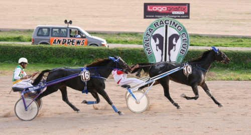 Race 7 confirmed result