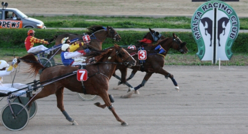 Race 8 confirmed result