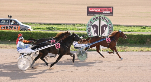 Race 5 confirmed result
