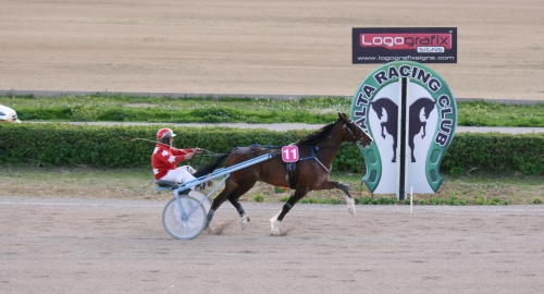 Race 5 confirmed result