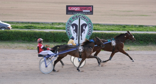 Race 7 confirmed result