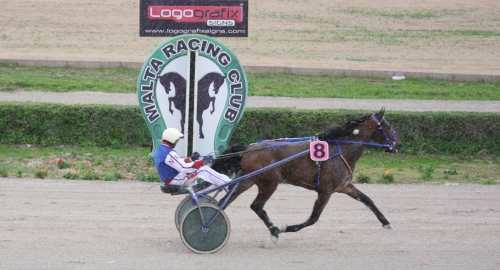 Race 5 confirmed result