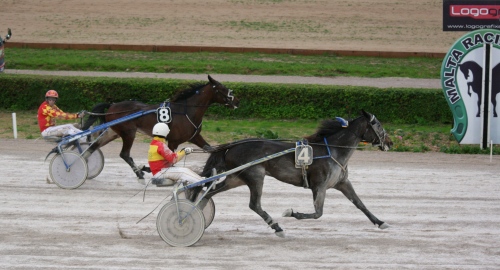 Race 9 confirmed result