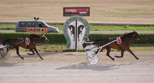 Race 5 confirmed result