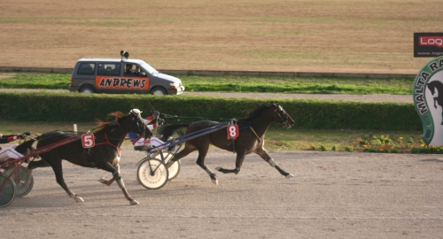 Race 8 confirmed result