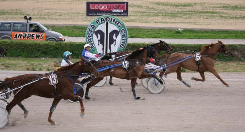 Race 7 confirmed result
