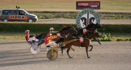 Race 8 confirmed result