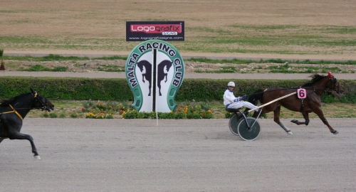 Race 5 confirmed result