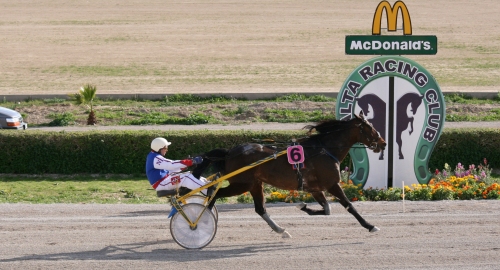 Race 5 confirmed result