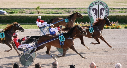 Race 6 confirmed result