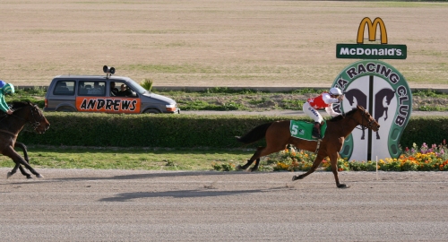 Race 7 confirmed result