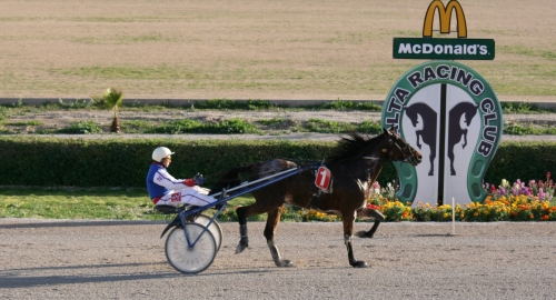 Race 8 confirmed result
