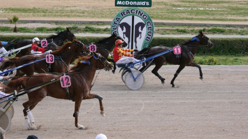 Race 5 confirmed result