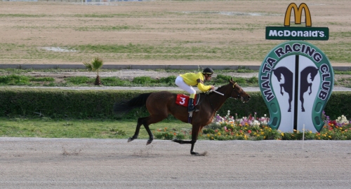 Race 8 confirmed result