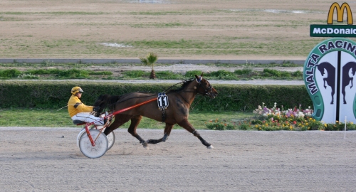 Race 9 confirmed result