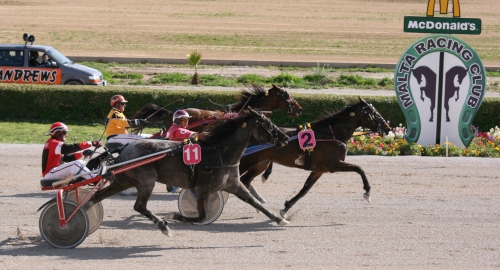 Race 5 confirmed result