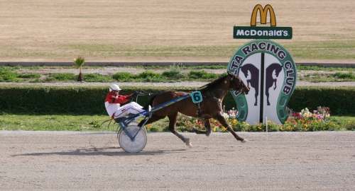 Race 6 confirmed result