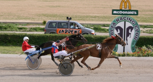 Race 7 confirmed result