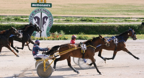 Race 7 confirmed result